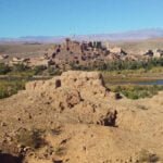 Read more about the article العالية (تراشت)